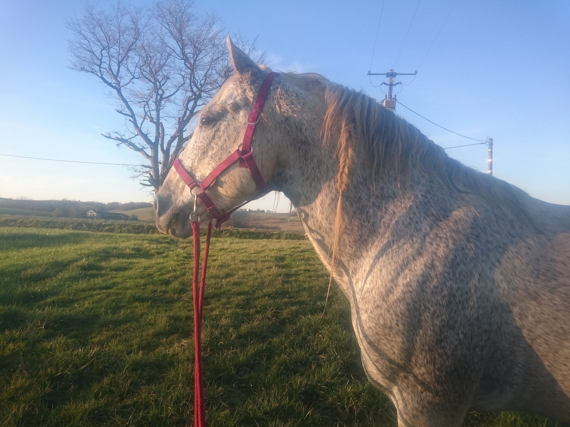 Tarifs et Contact - Photo 5