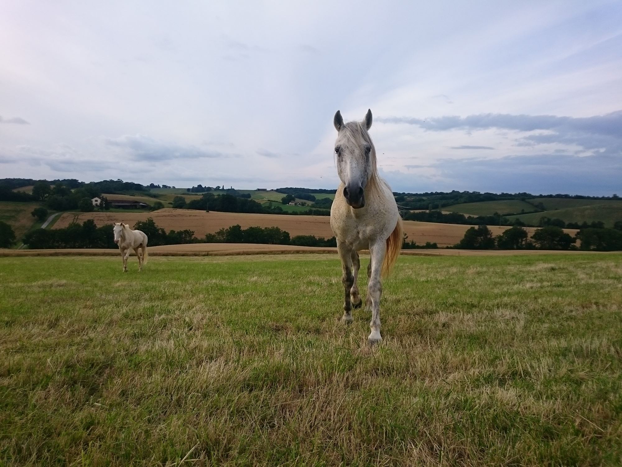 Conditions de saillie - Photo 5