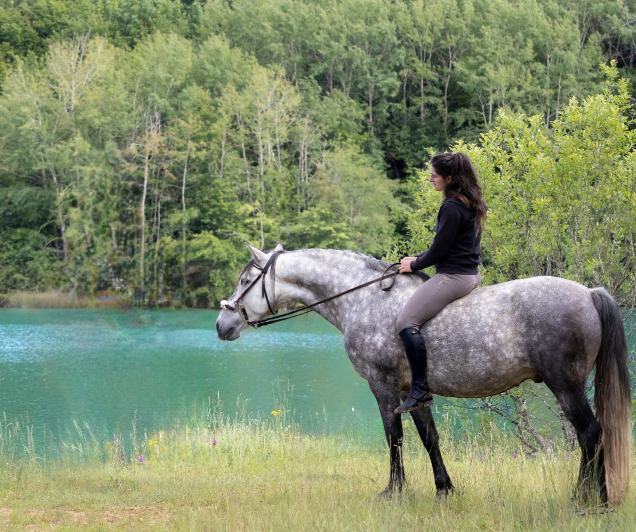Pension pour chevaux - Photo 2