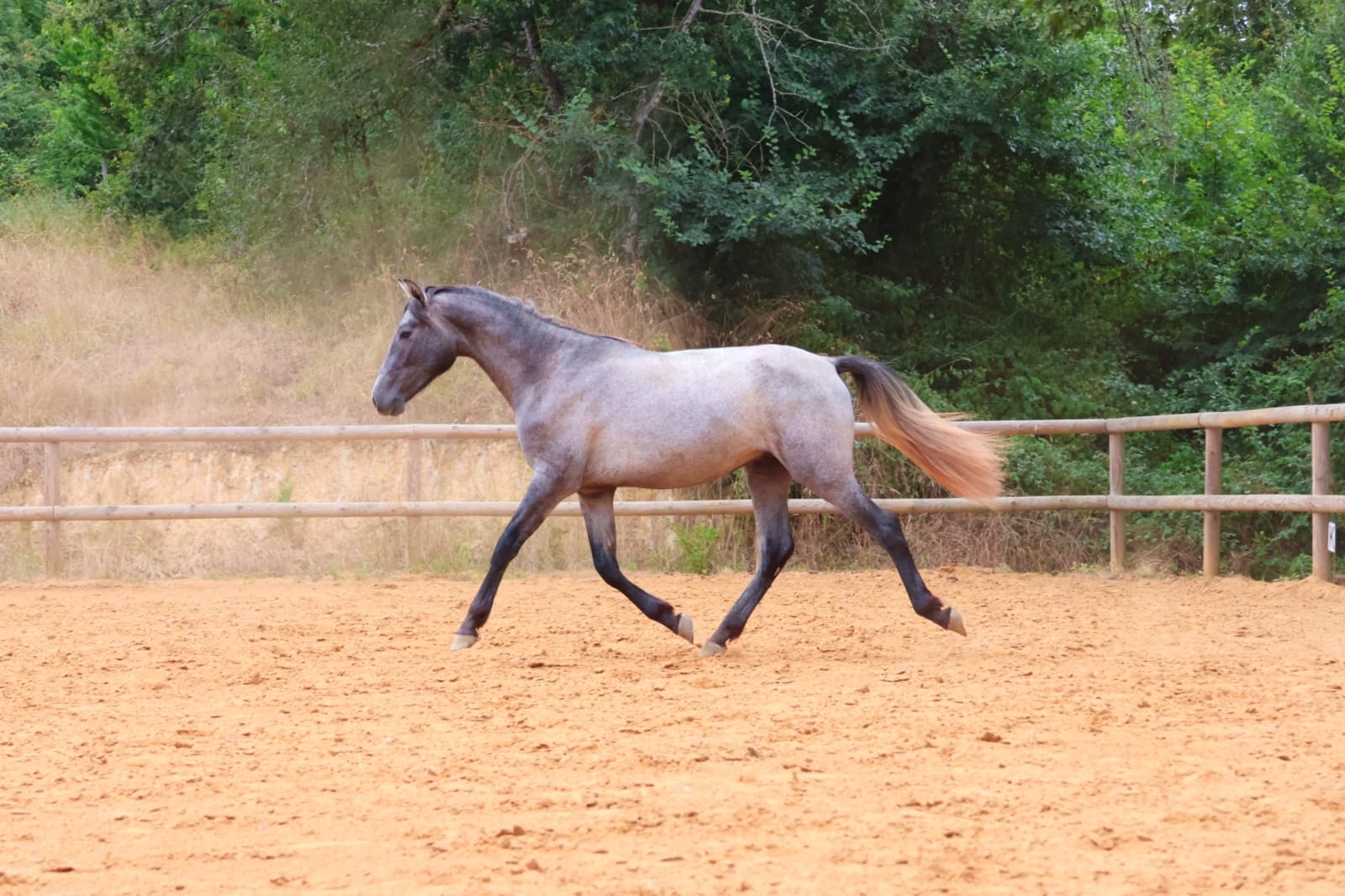 Tarifs et Contact - Photo 3