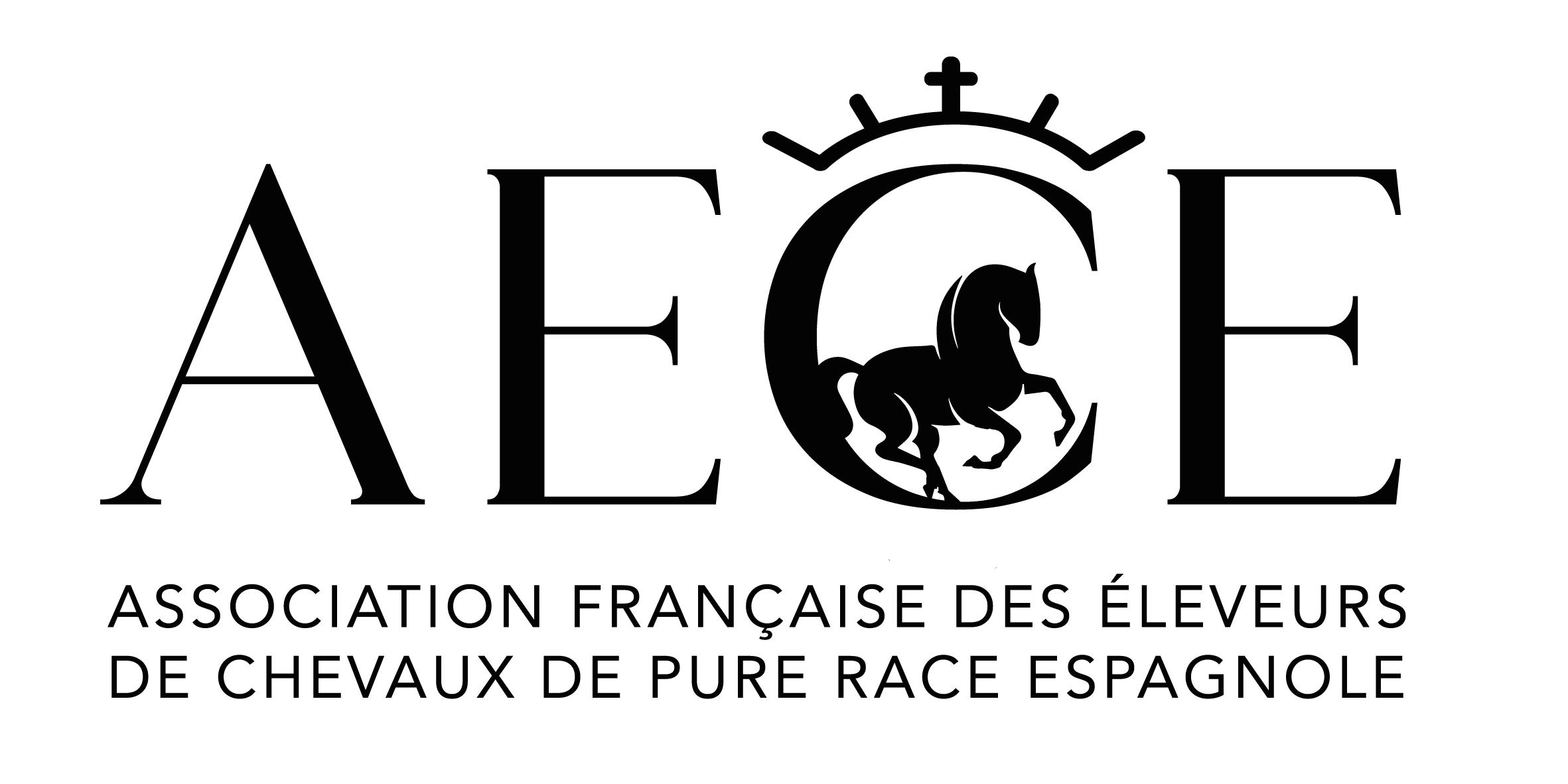 Logo AECE