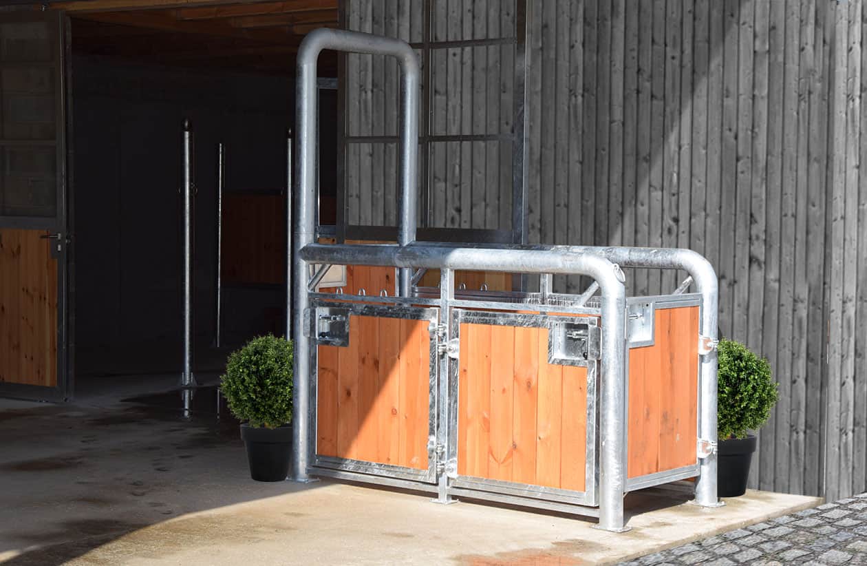 Conditions de saillie - Photo 3