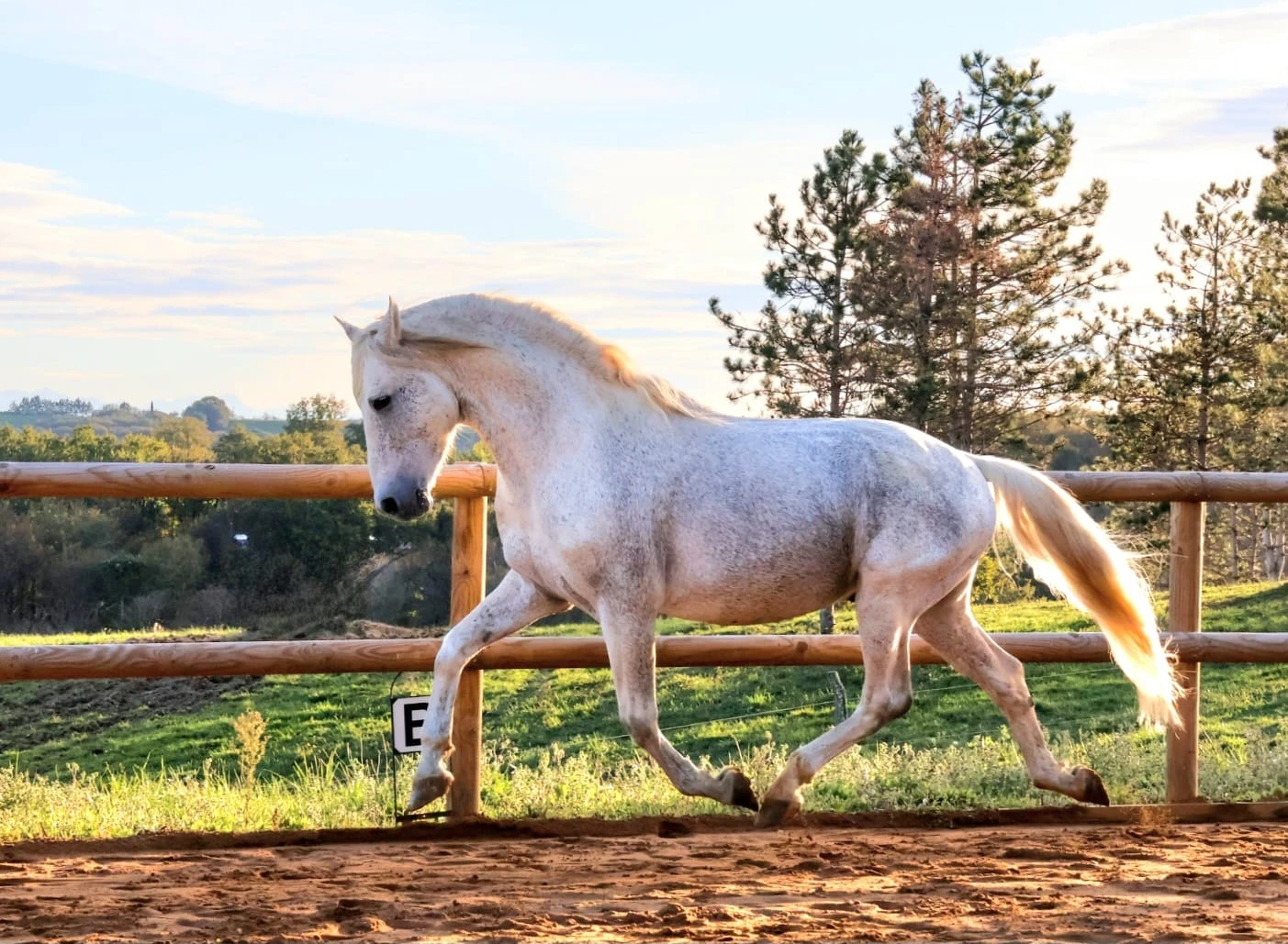 Uno des Hounts - Photo 5