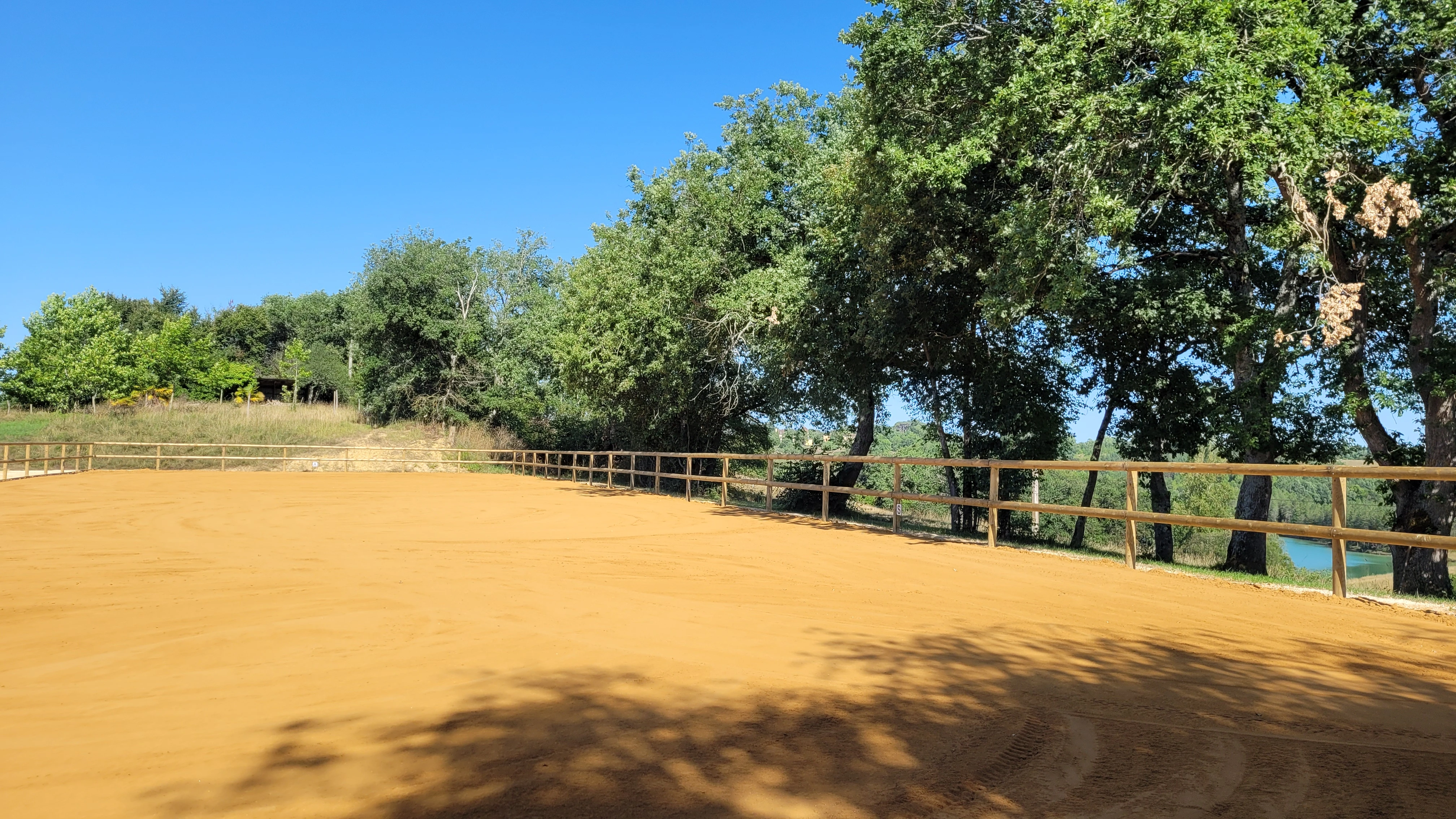 Pension pour chevaux - Photo 2