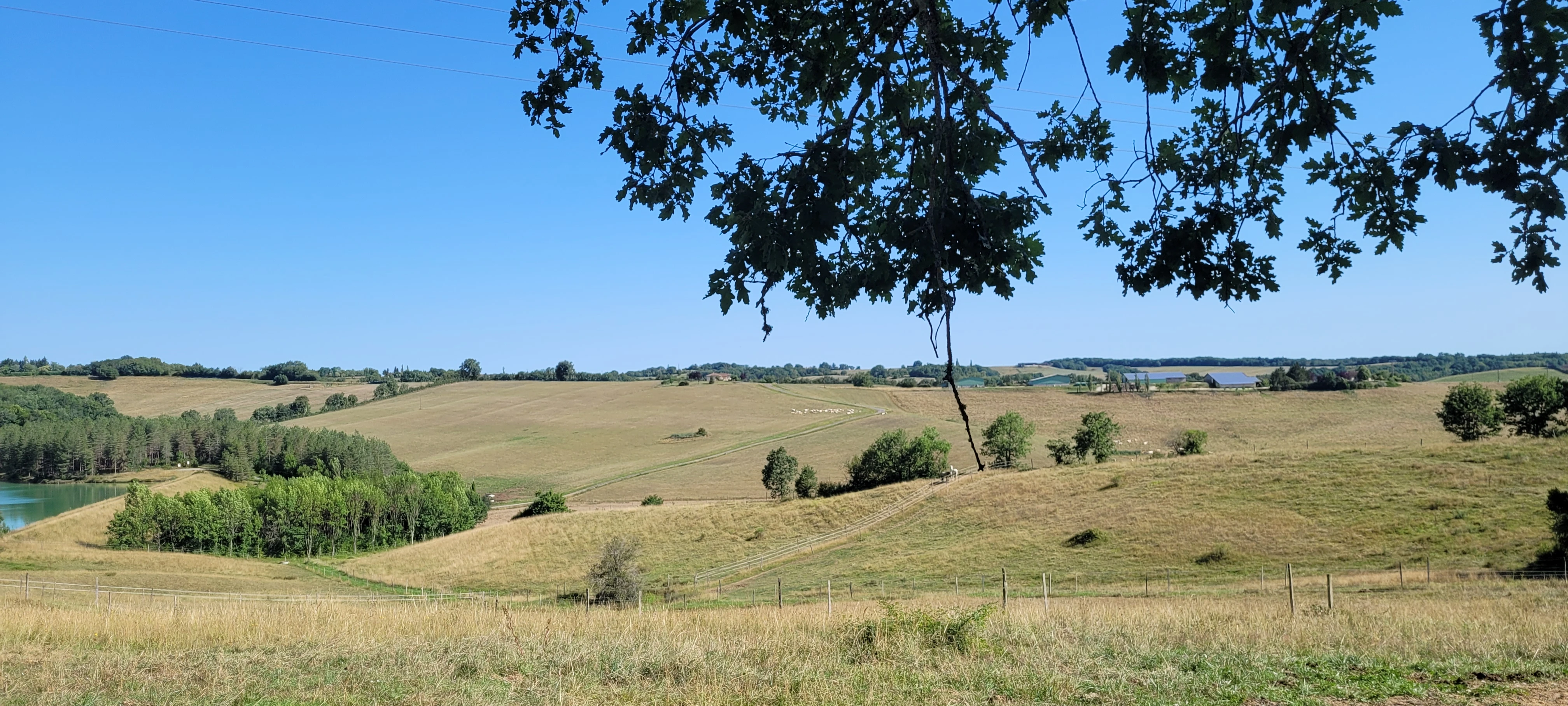 Pension pour chevaux - Photo 5