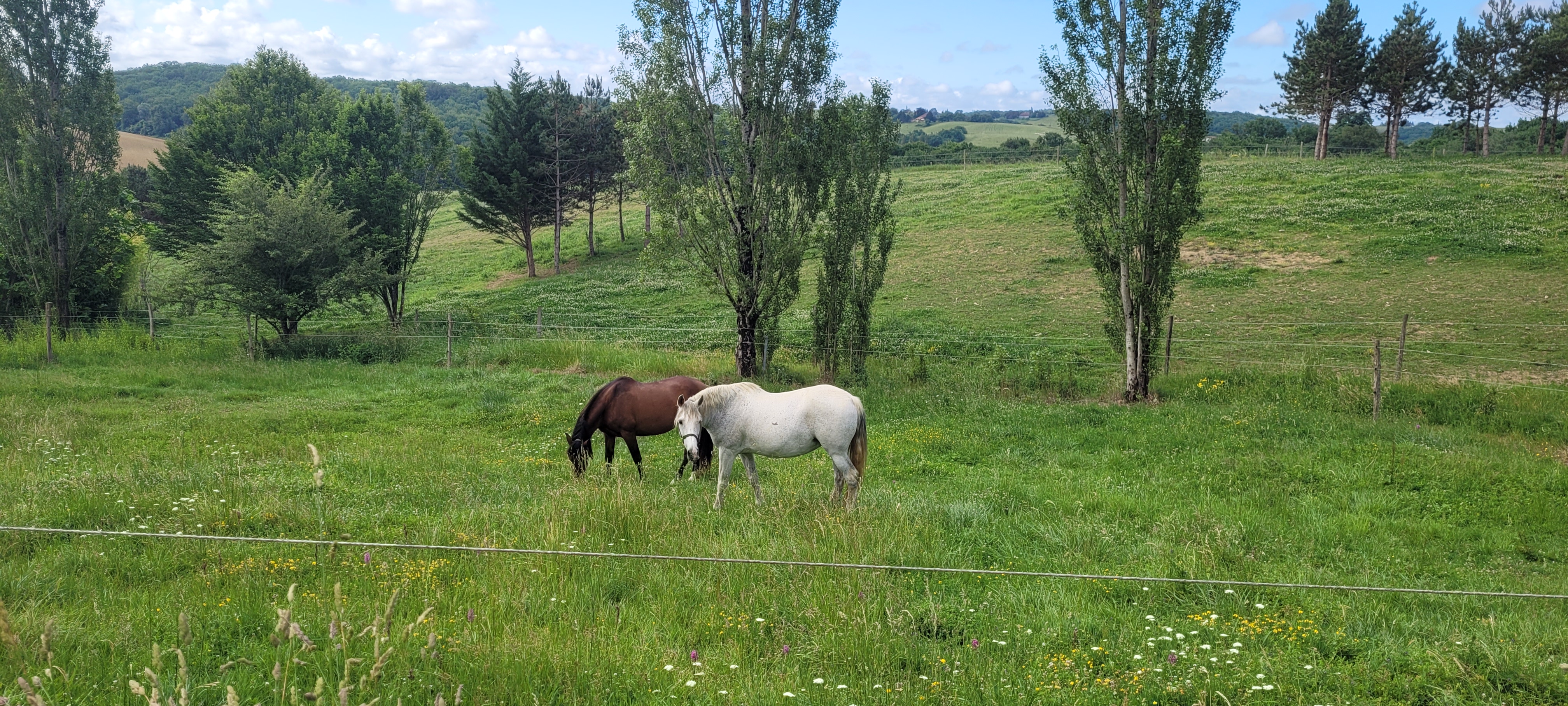 Conditions de vie exceptionnelles