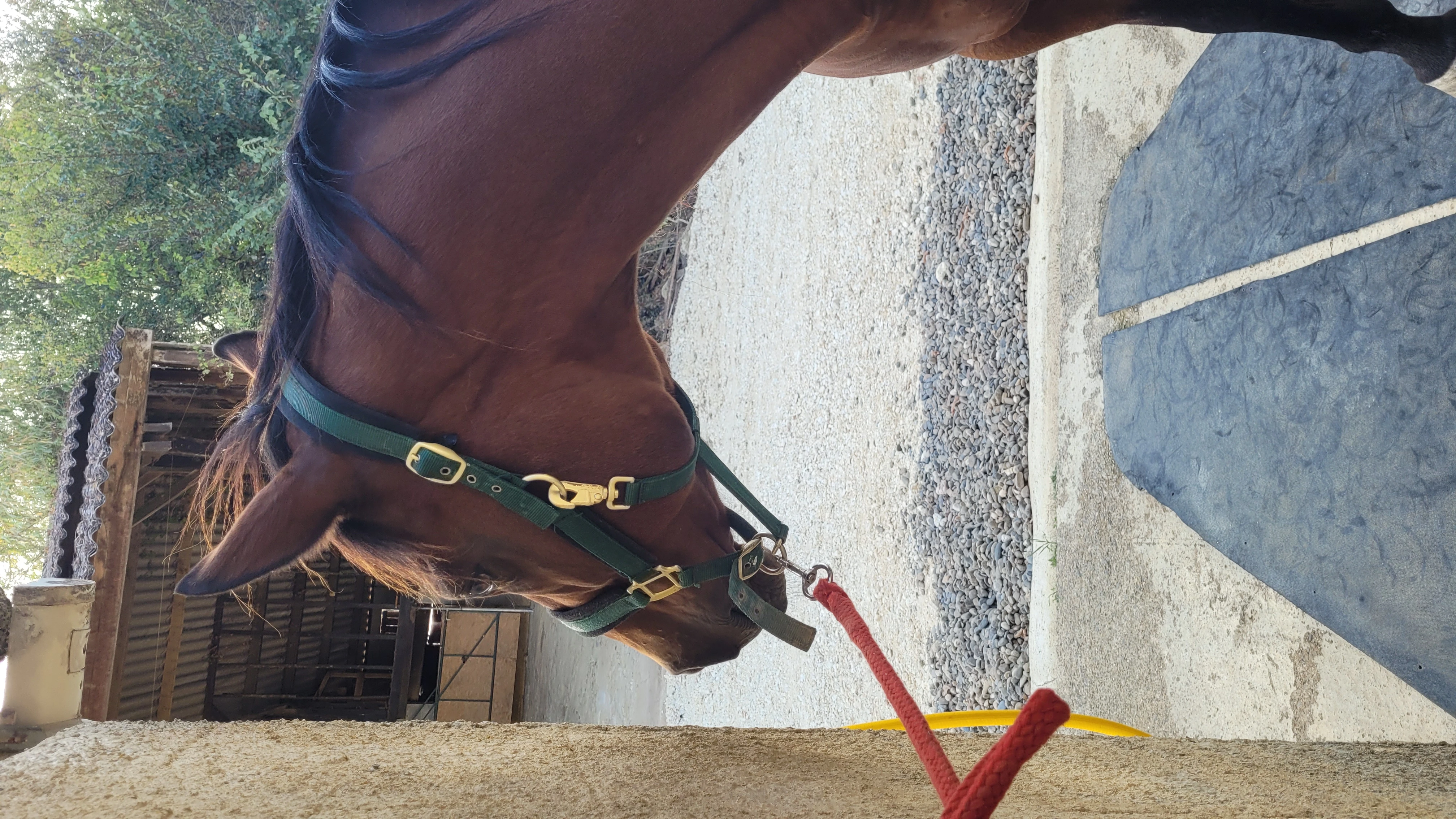 Confort à la campagne - Photo 2