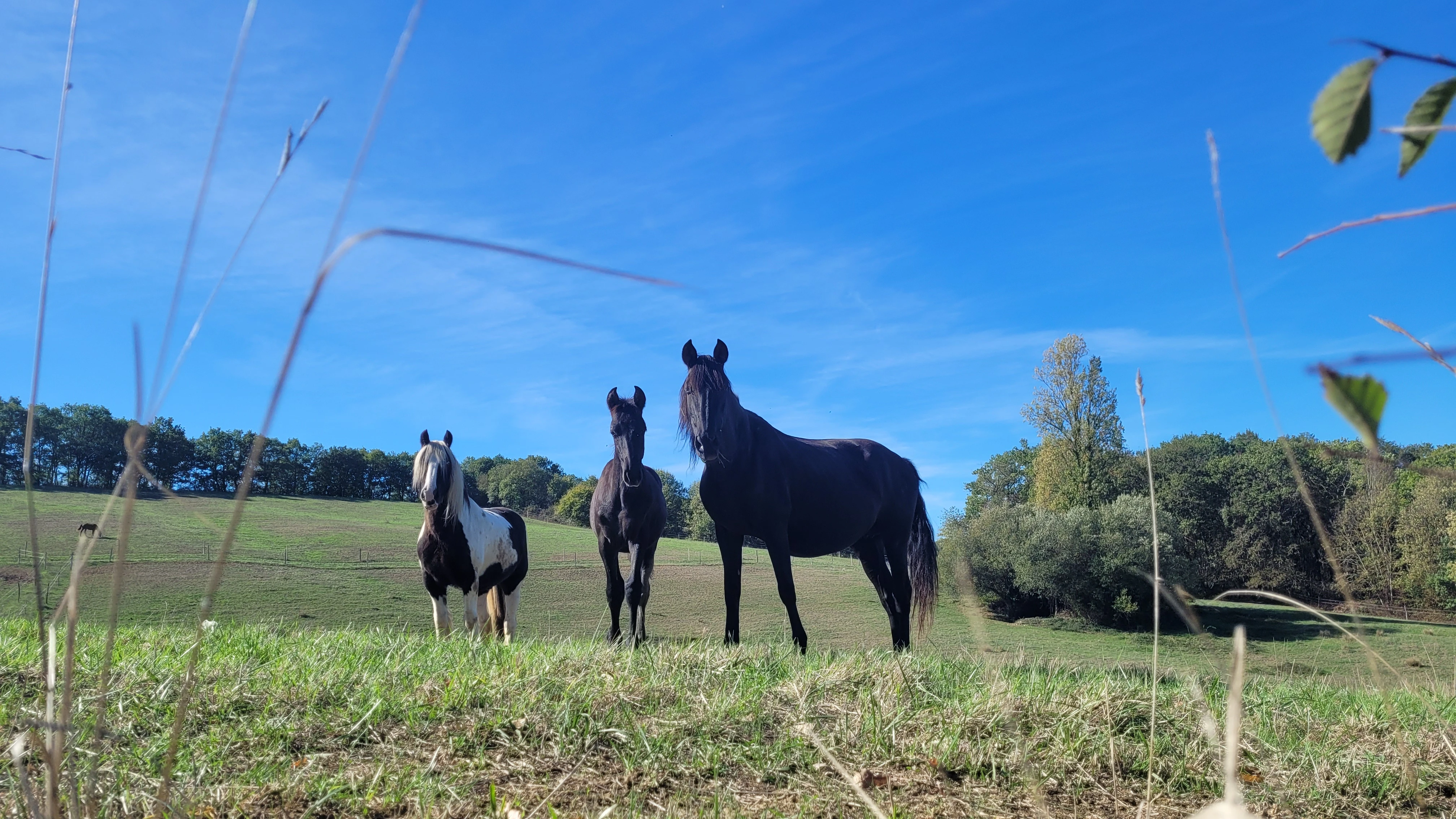 Confort à la campagne - Photo 3