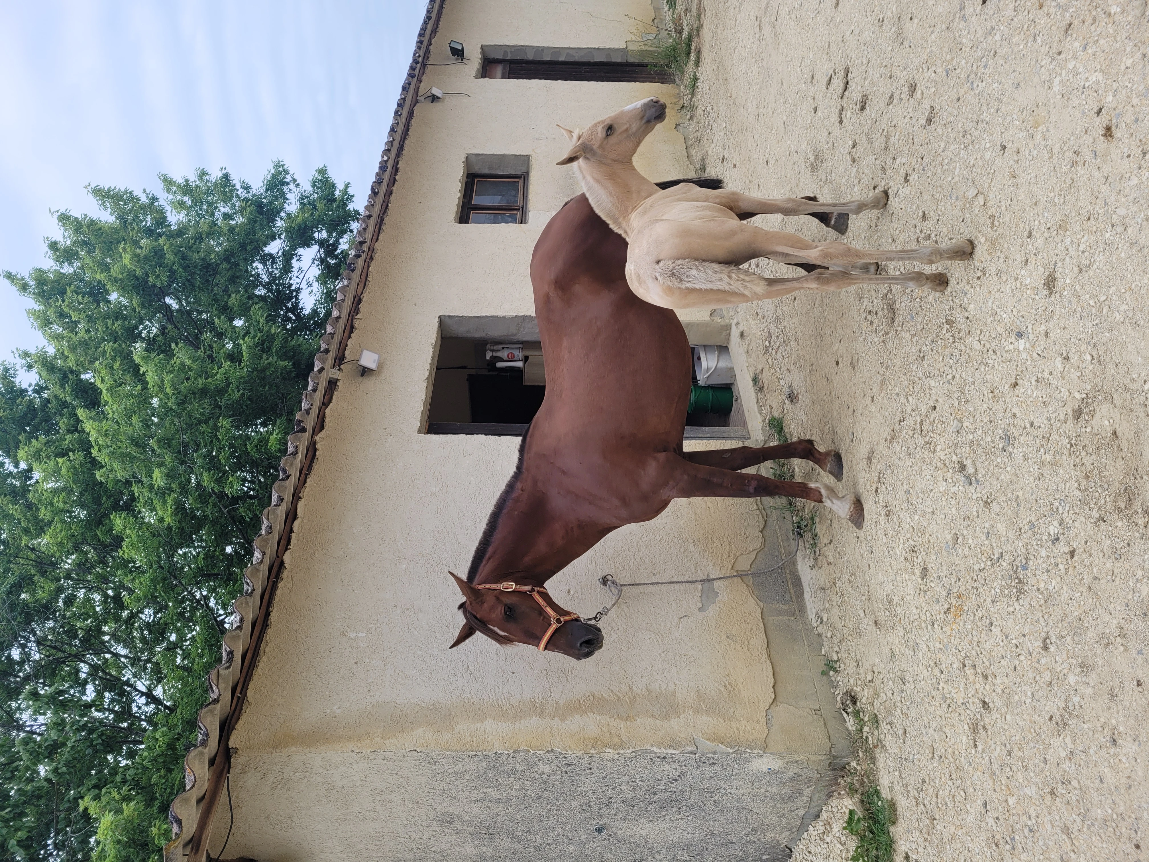 Confort à la campagne - Photo 6