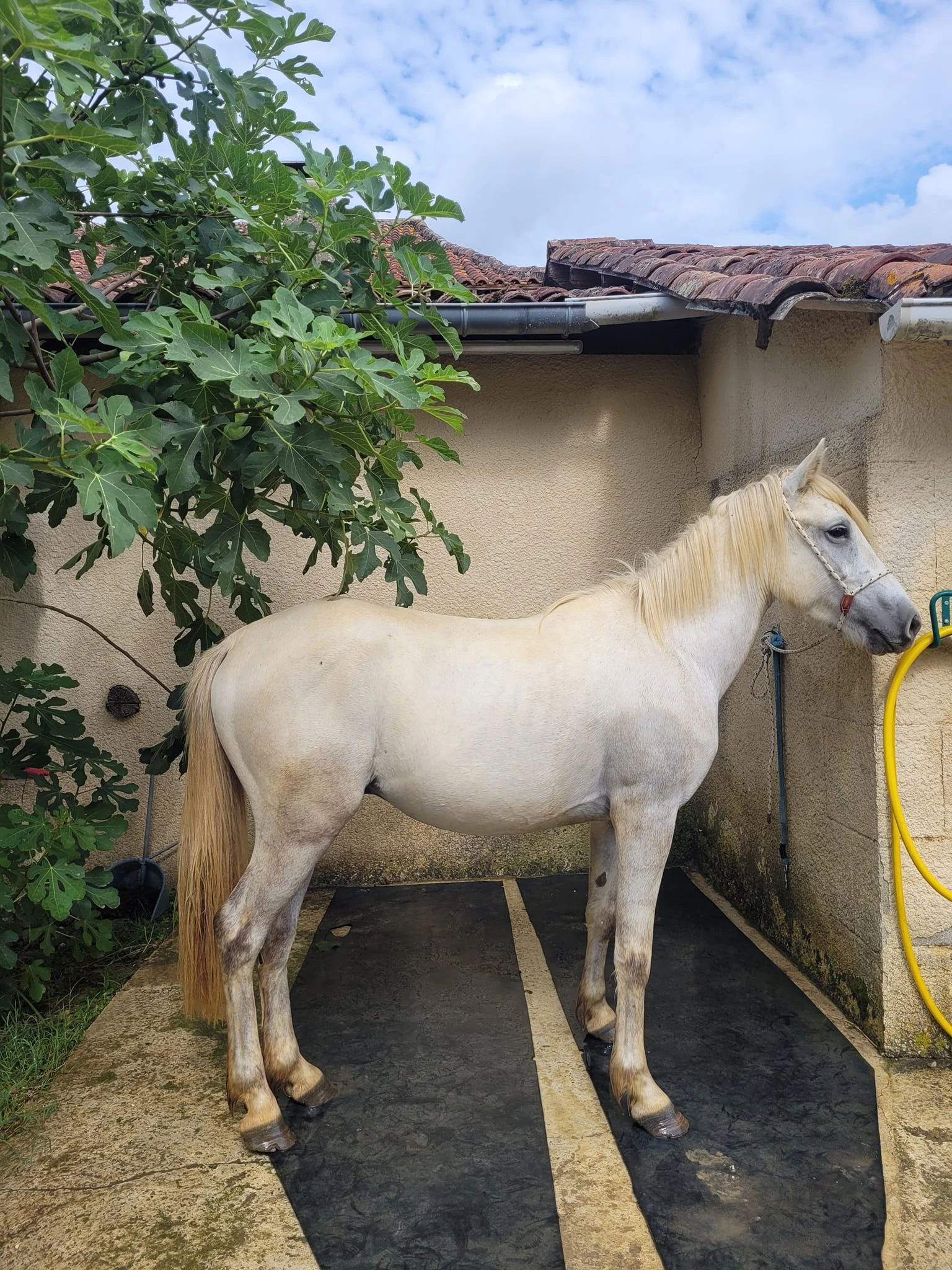 Confort à la campagne - Photo 8