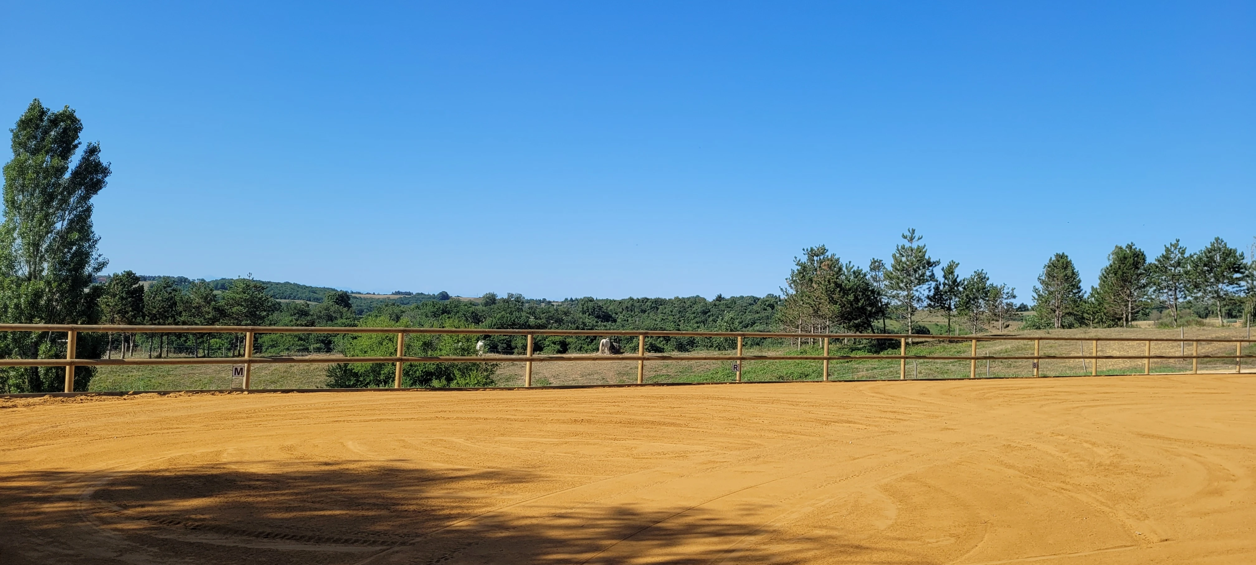 Carrière équestre - Photo 3