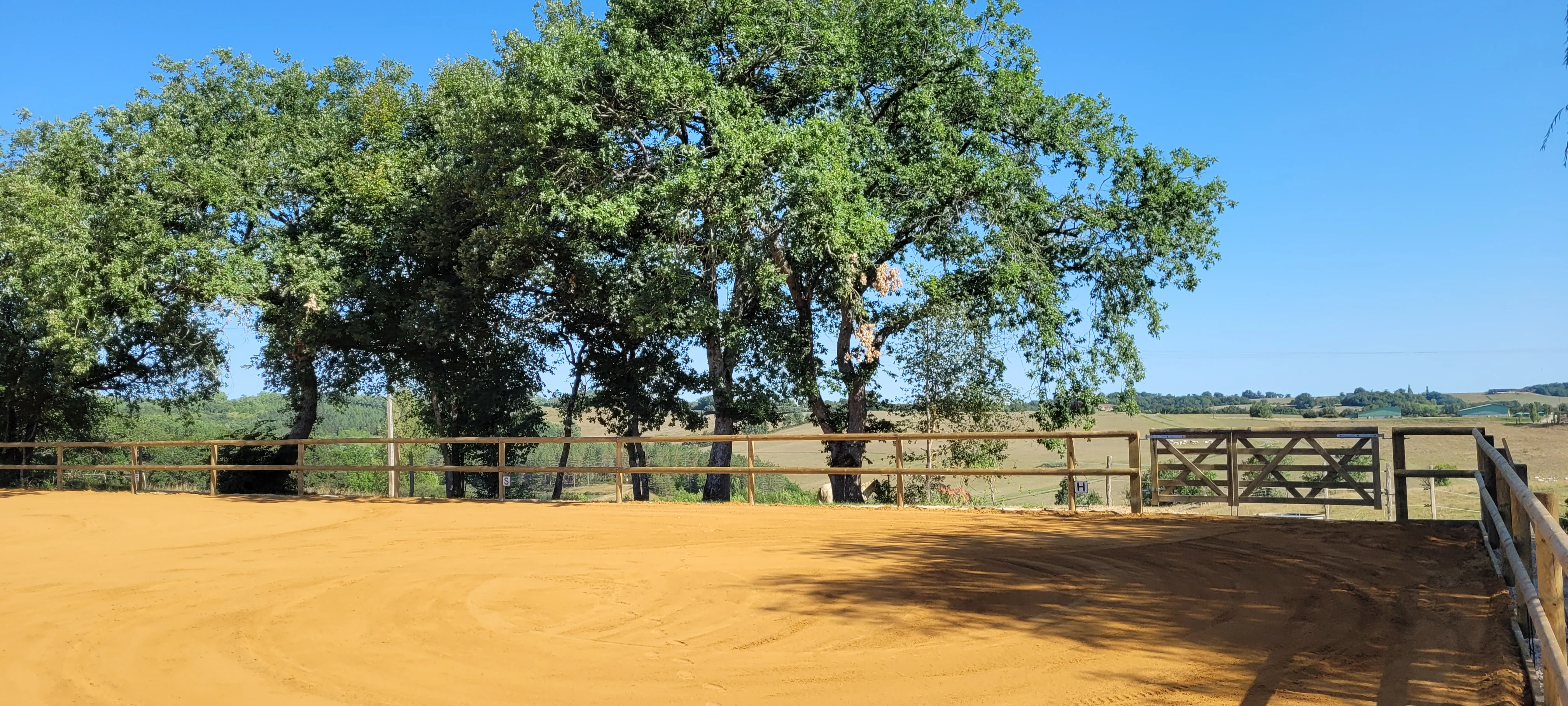 Carrière équestre - Photo 5