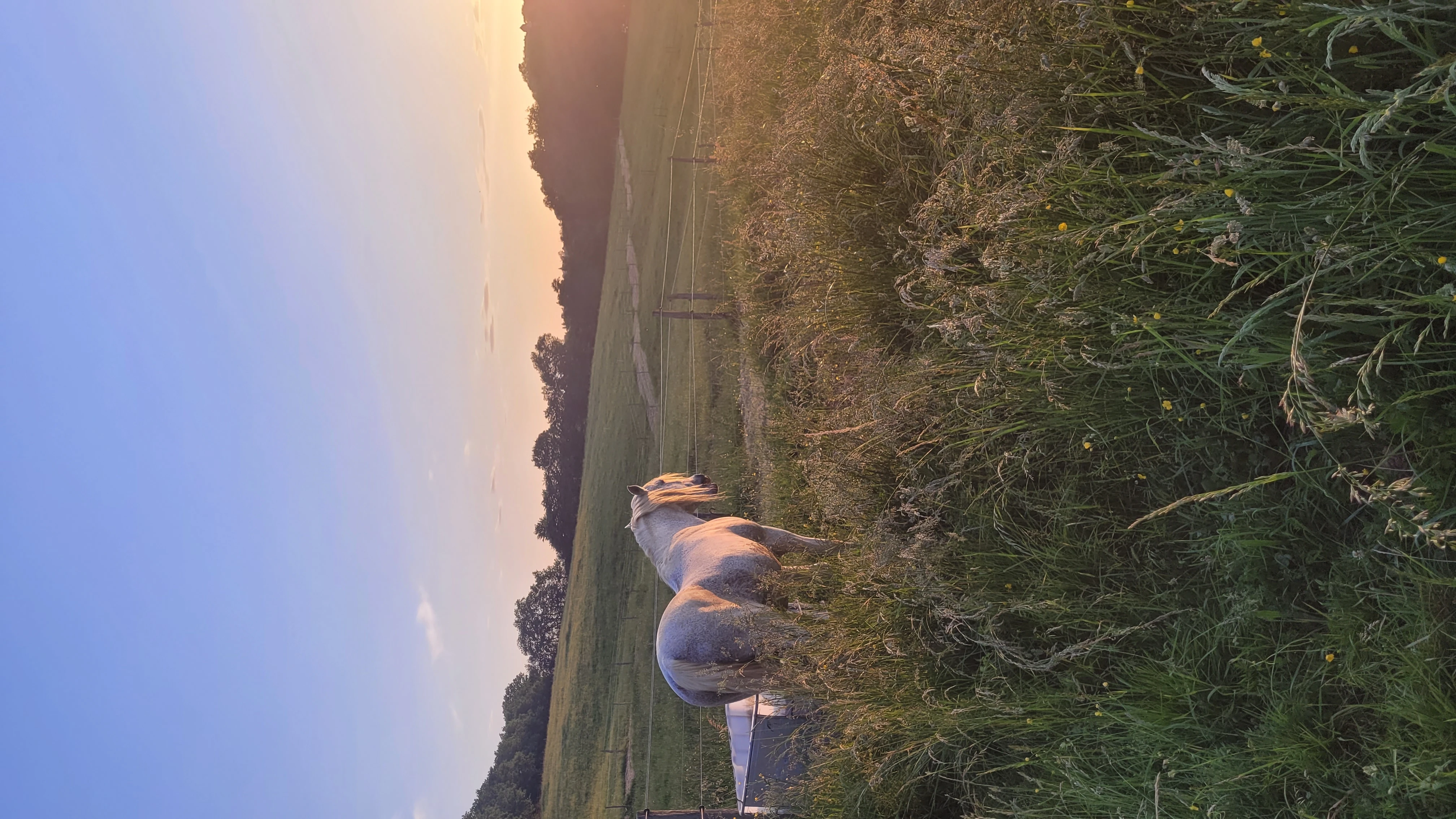 Randonnées - Photo 1