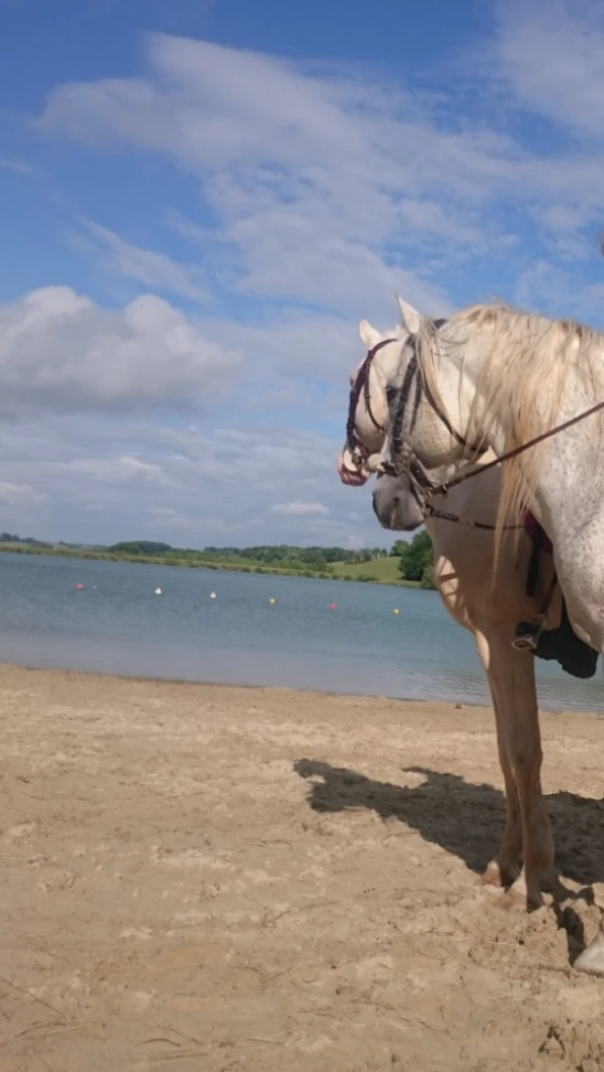 Randonnées - Photo 14