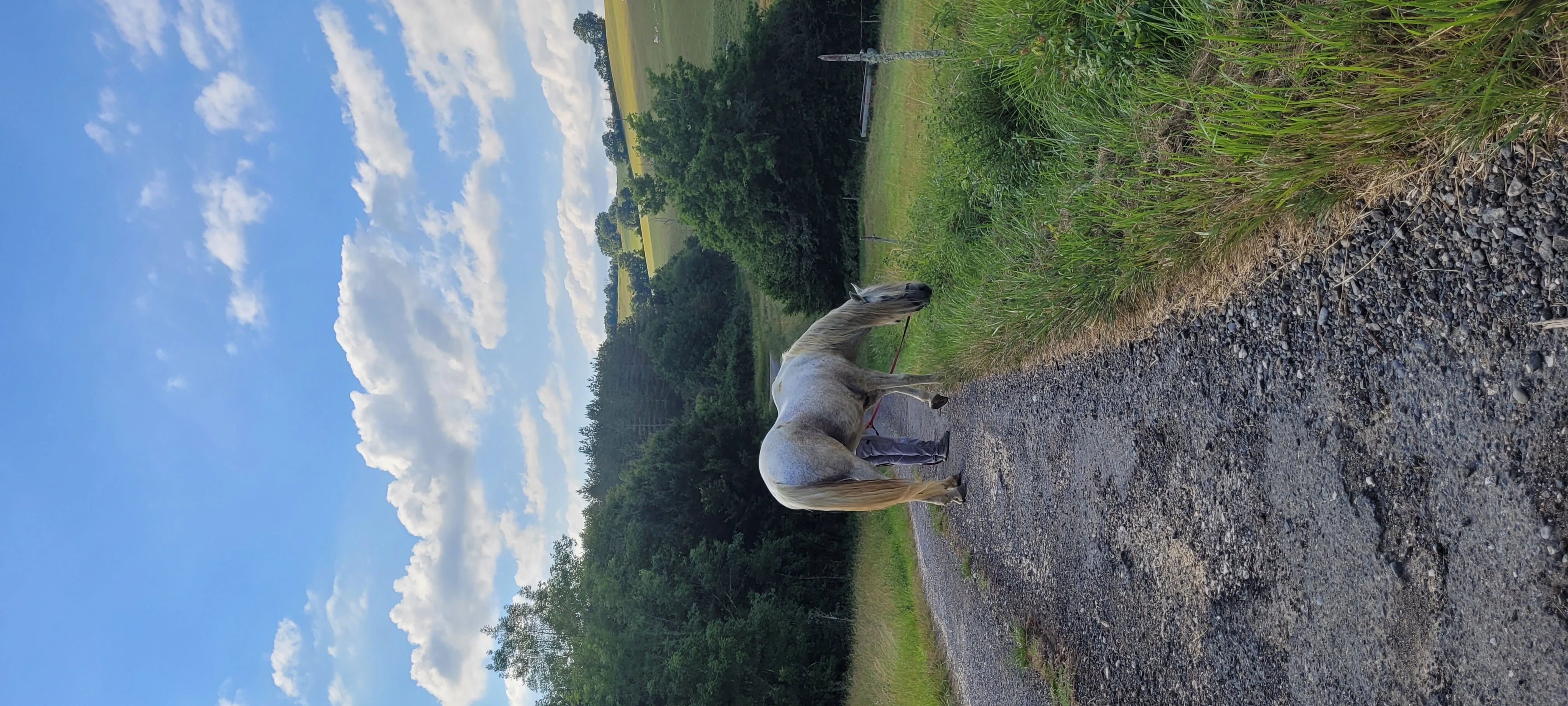 Randonnées - Photo 2