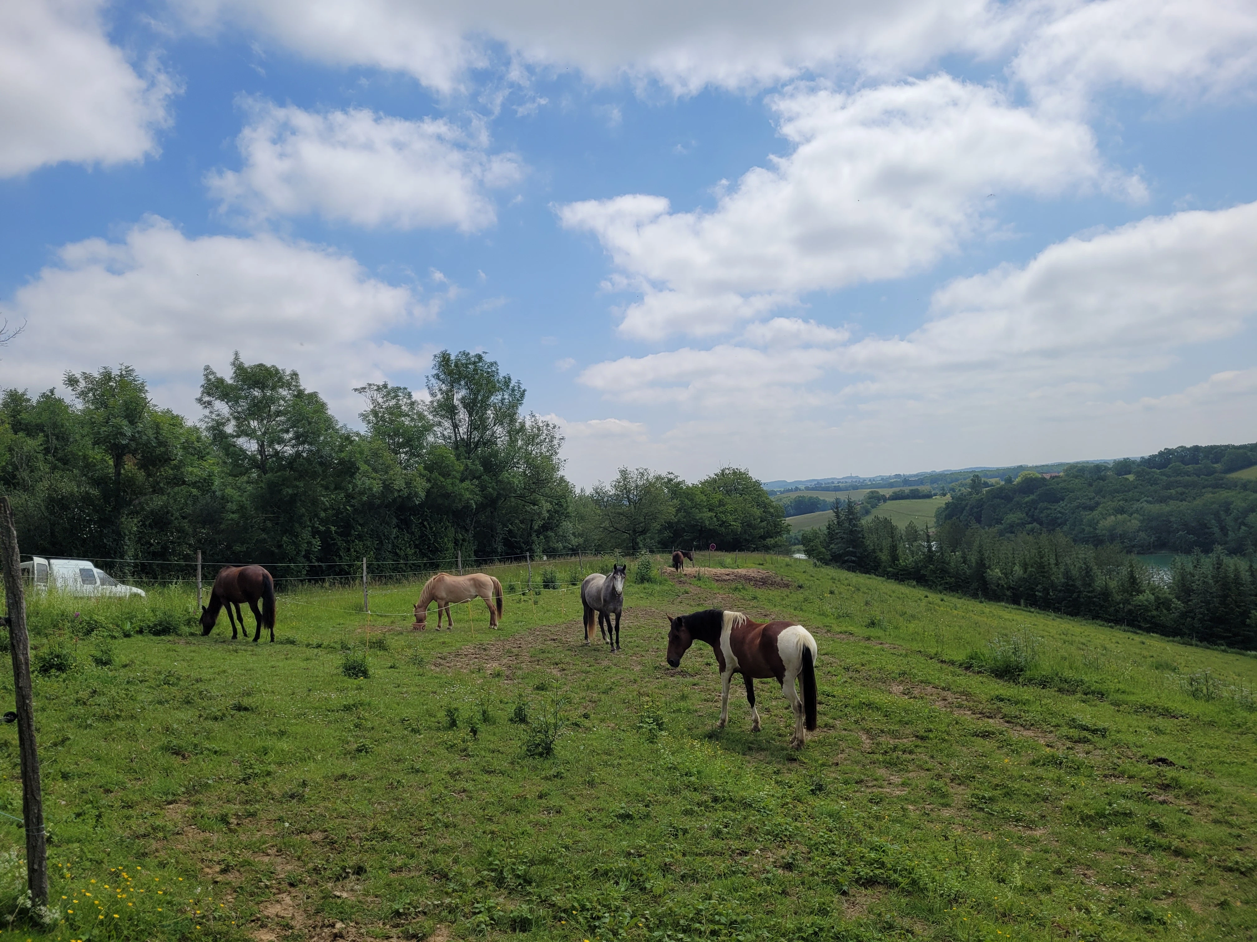 Randonnées - Photo 3