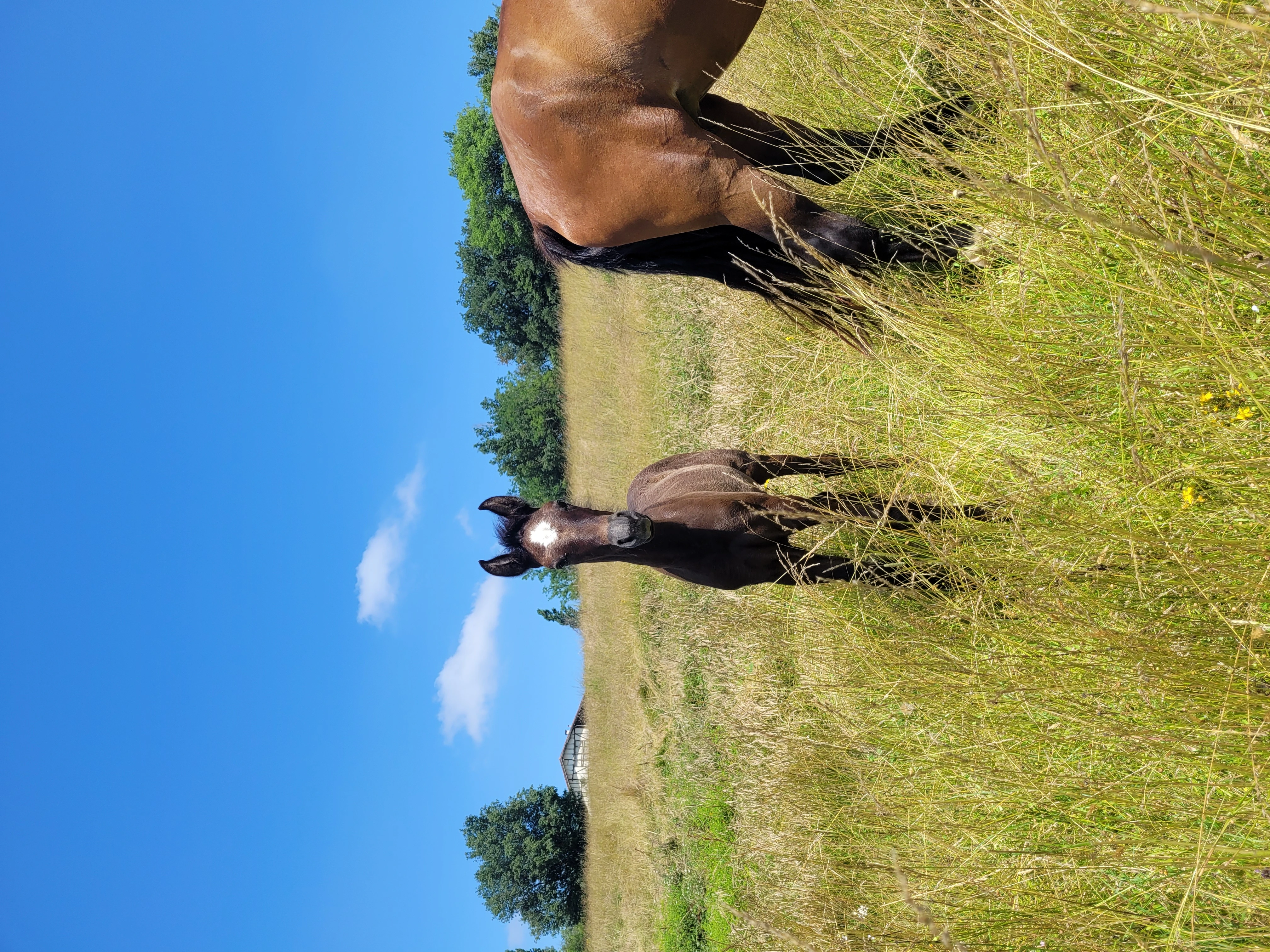 Randonnées - Photo 4