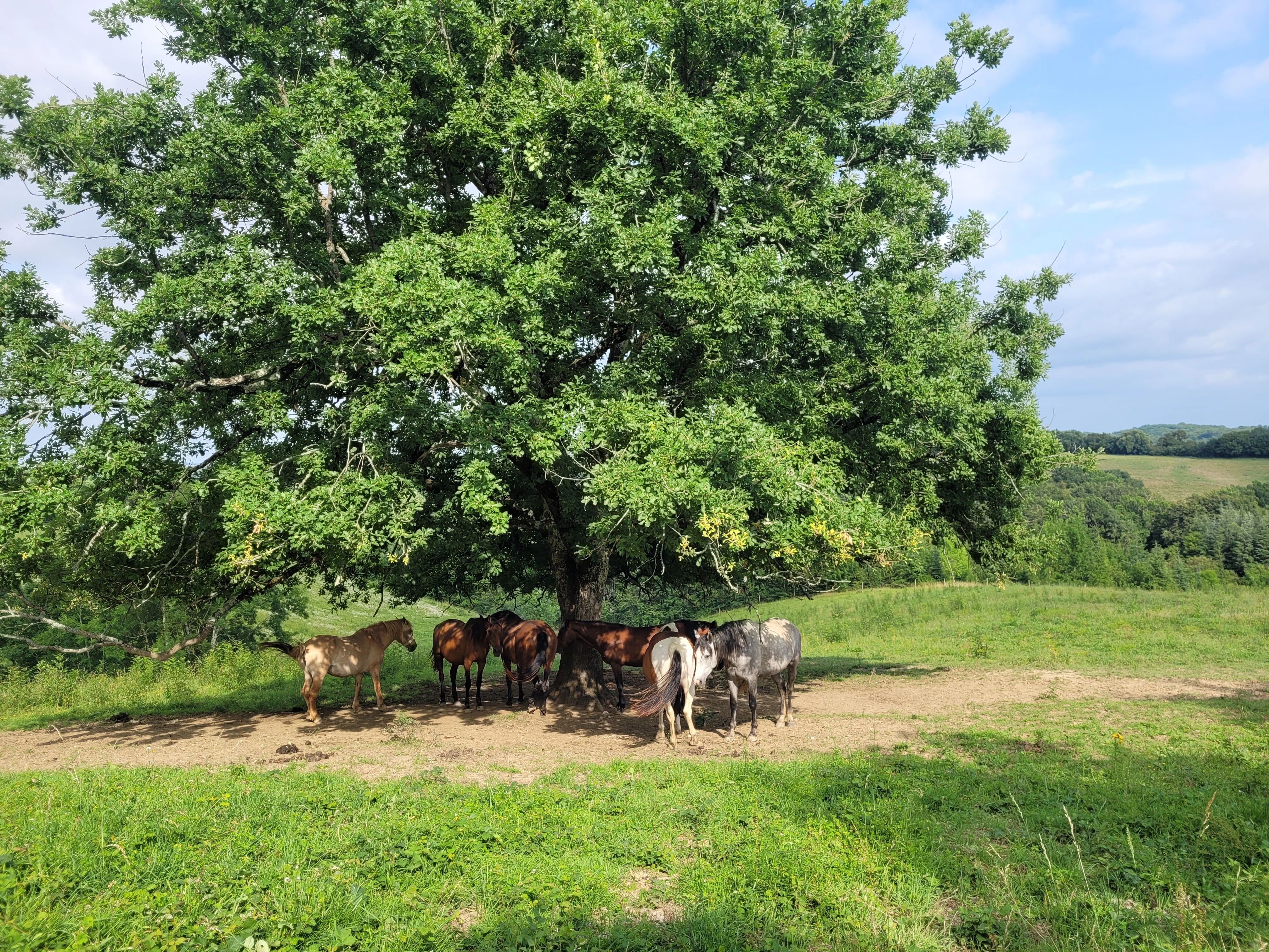 Randonnées - Photo 6