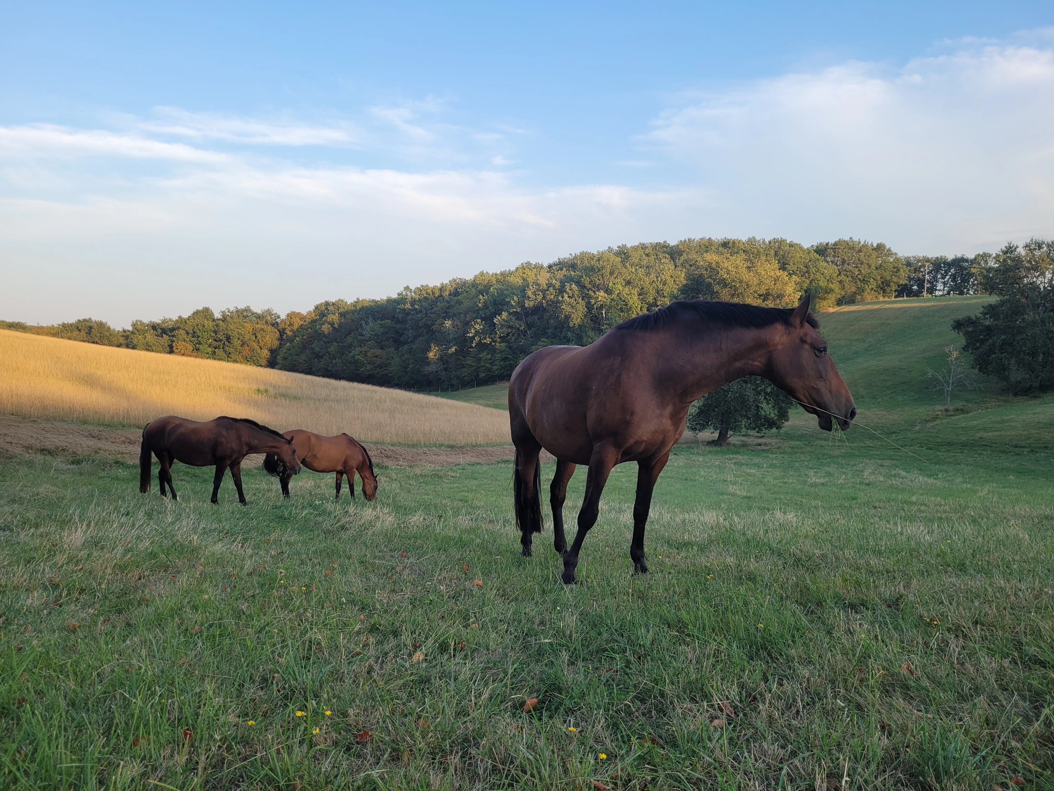 Randonnées - Photo 7