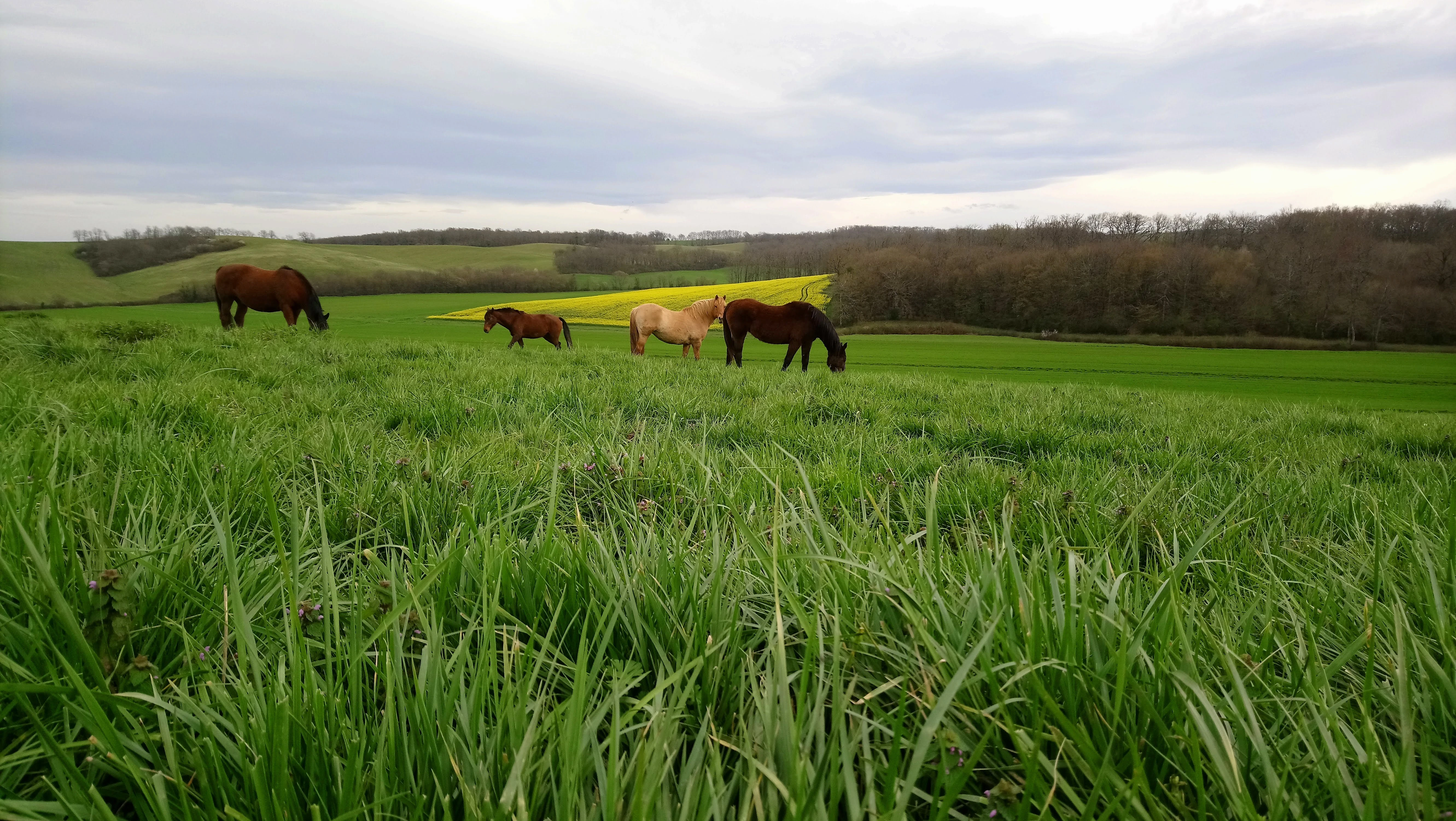 Randonnées - Photo 8