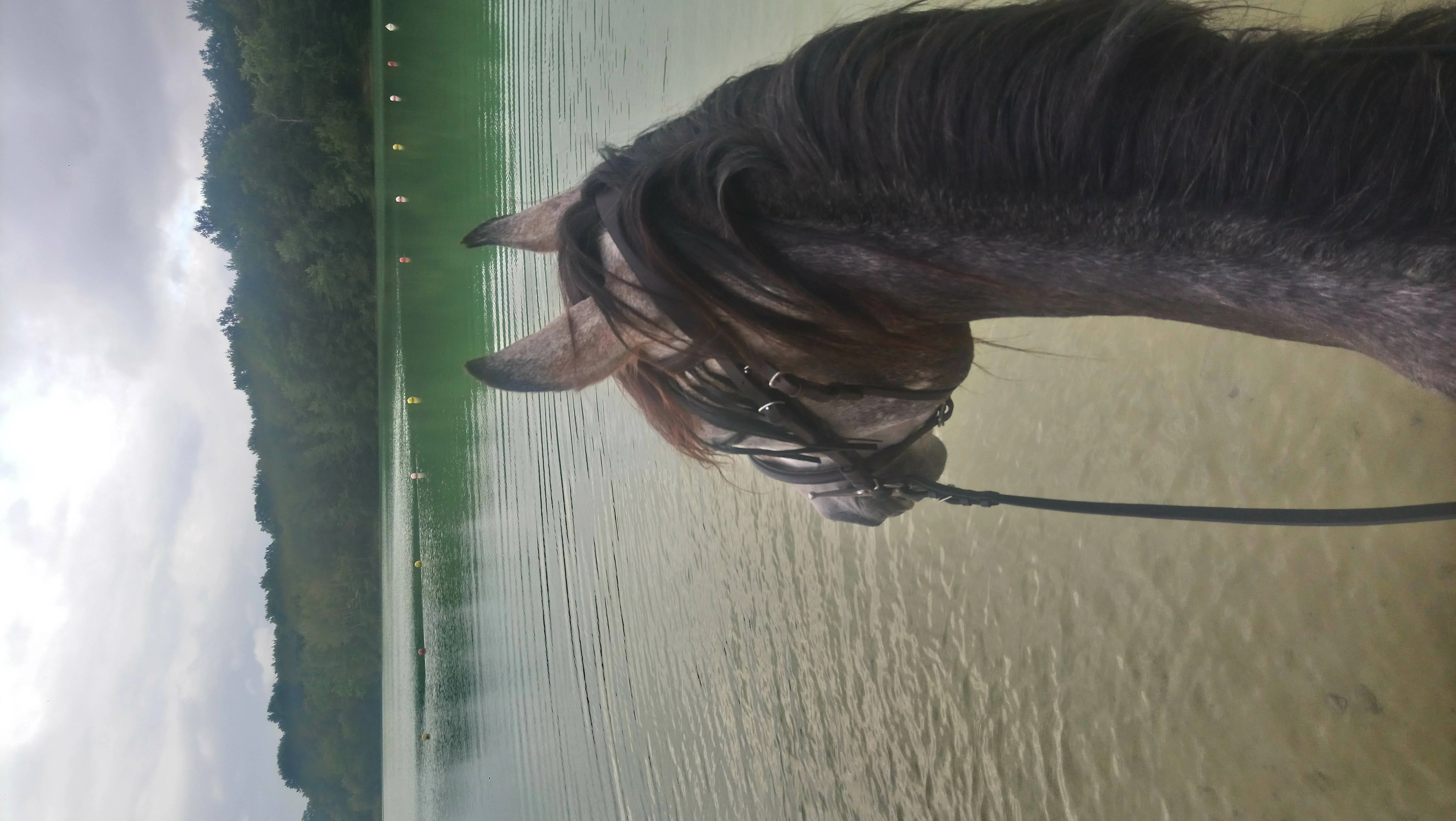 Randonnées - Photo 9